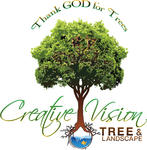Landscape Design, FL Creative Vision Tree & Landscape Services