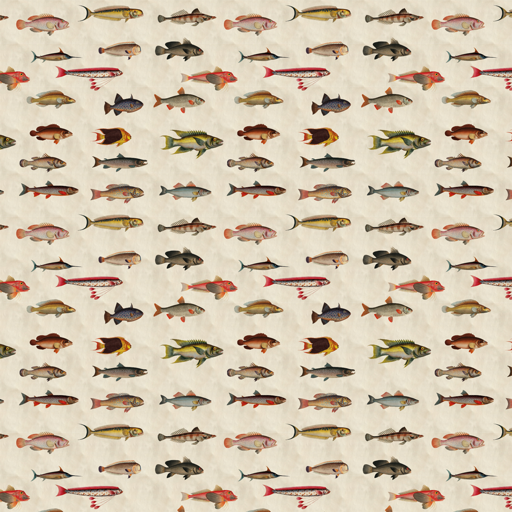 Creative WallpaperFish Wallpaper Mural for a Dreamy Space Children's