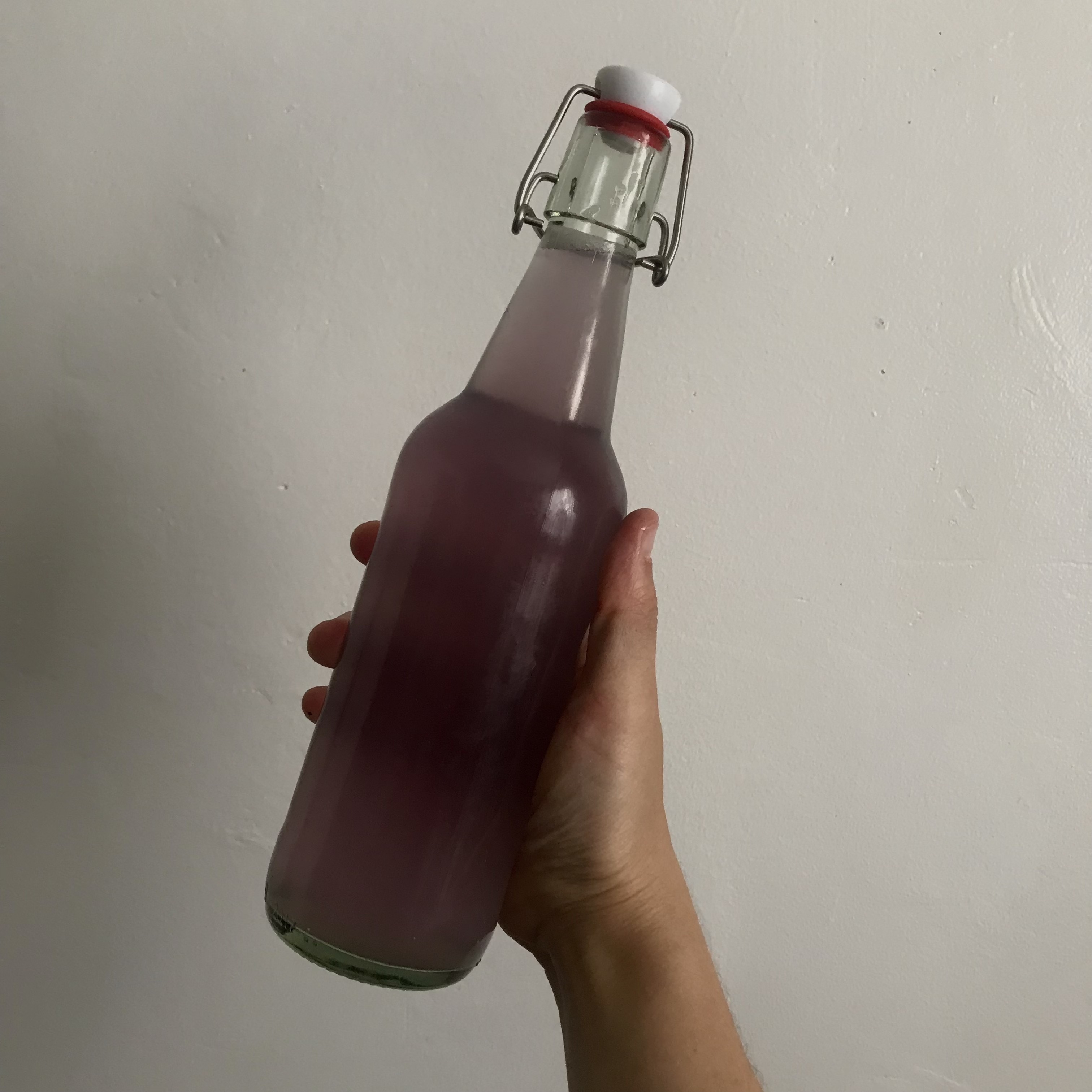 Blue Butterfly Pea Flower Lemonade & Kombucha The Artist's Appetite