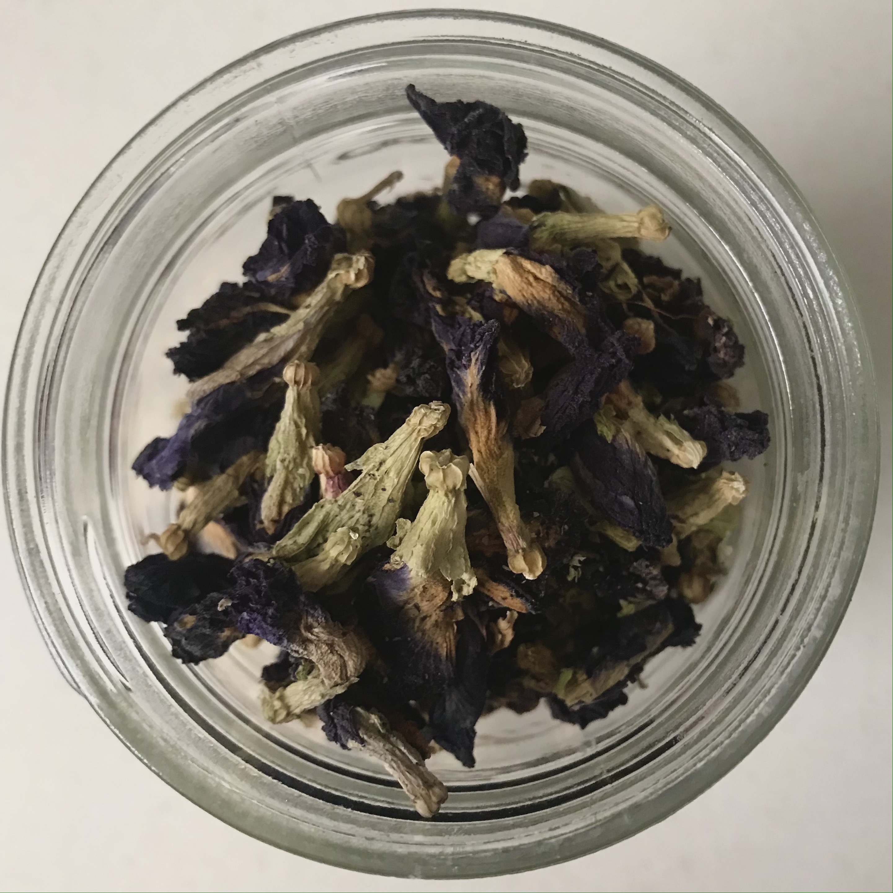 Blue Butterfly Pea Flower Lemonade & Kombucha The Artist's Appetite