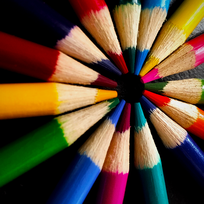Beginner's Guide to Drawing with Colored Pencils