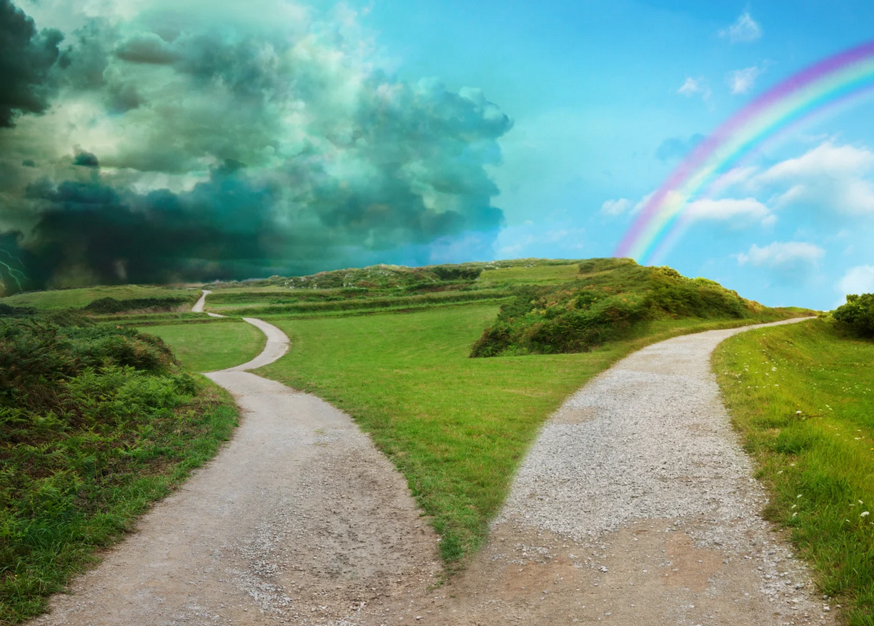 The Path You Choose(03)