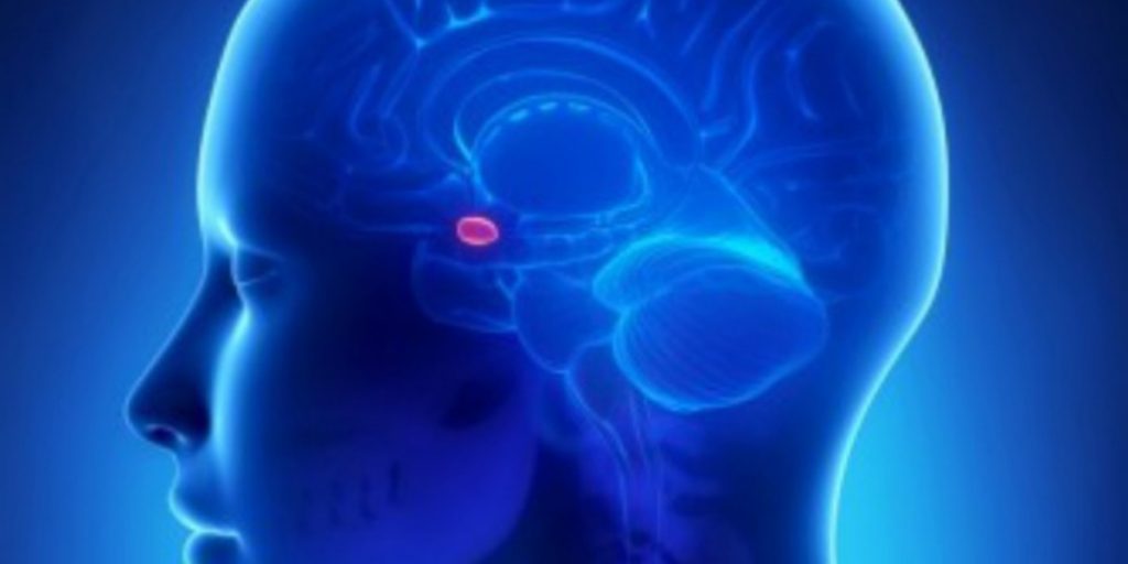 Tweets from the Reptilian Side of the Brain are not