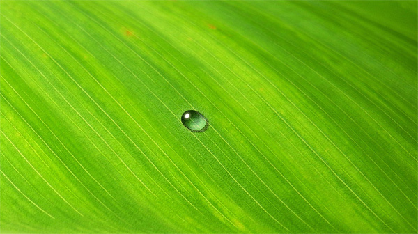 как рисовать брызги воды