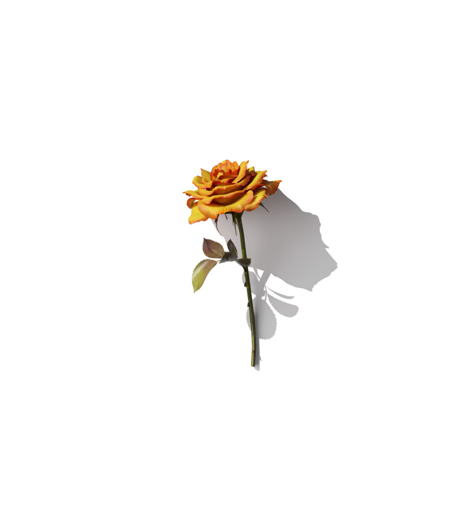 Rose Emoji Background
