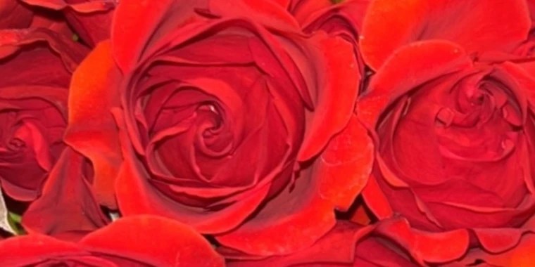 Aaliyah OnlyFans | @aaliyahluvss review (Leaks, Videos, Nudes)