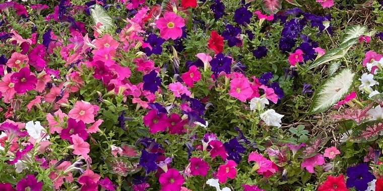 Acidd OnlyFans | @acidhime review (Leaks, Videos, Nudes)