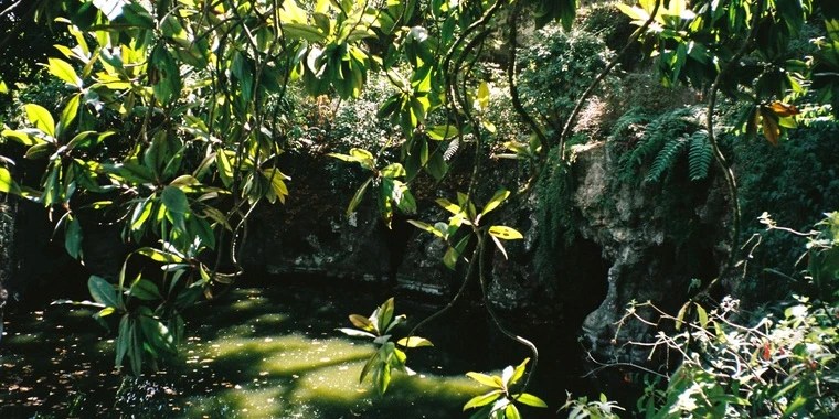 Alison OnlyFans | @alison_rouge review (Leaks, Videos, Nudes)