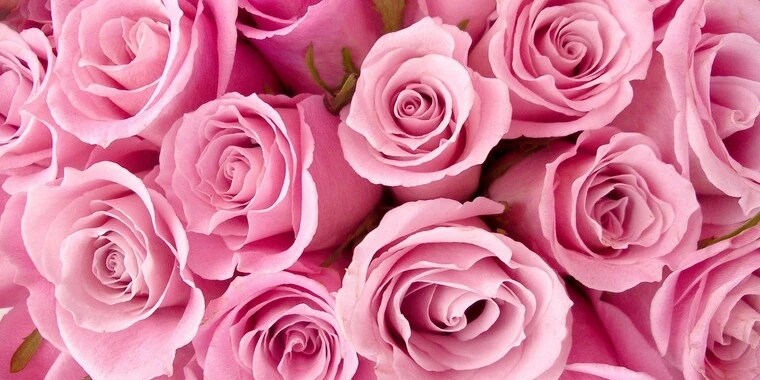 Allegra Cole OnlyFans | @allegracoleworld review (Leaks, Videos, Nudes)