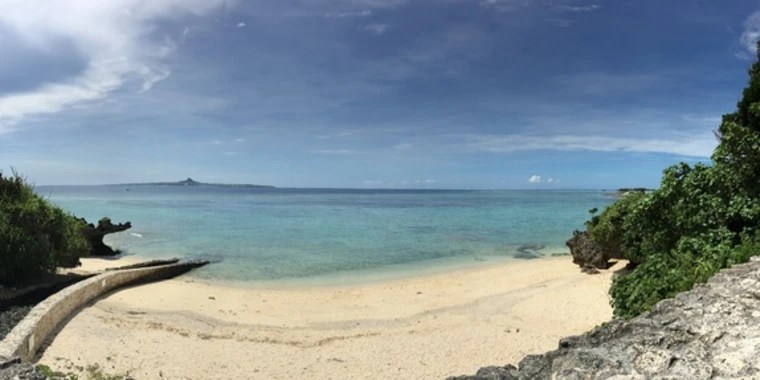 Allison OnlyFans | @allisonmaexx review (Leaks, Videos, Nudes)