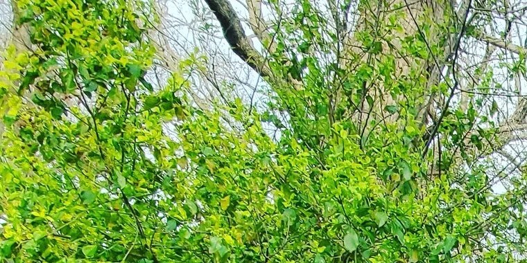 The Almond OnlyFans | @almondbaby review (Leaks, Videos, Nudes)