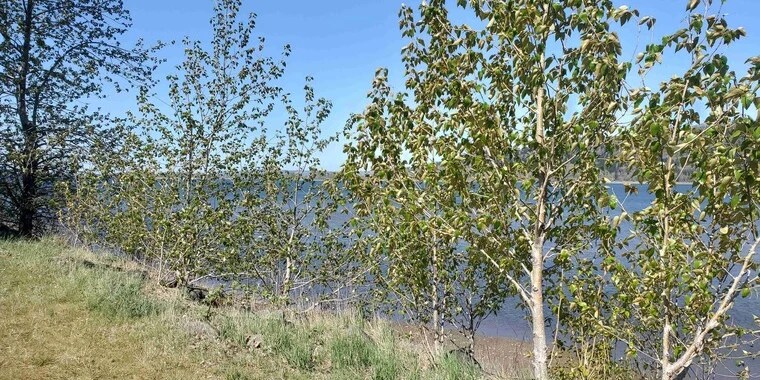 Amber Alena OnlyFans | @amberalenaxxx review (Leaks, Videos, Nudes)