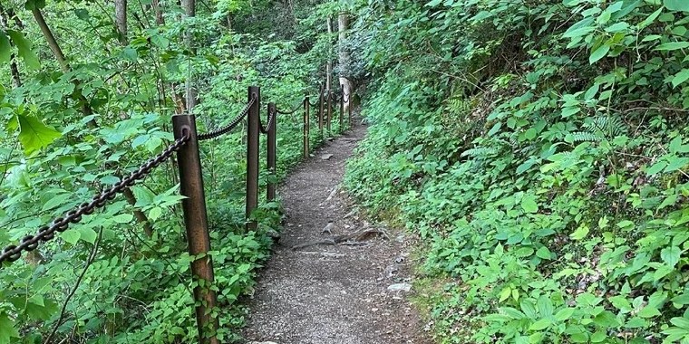 Ambrose OnlyFans | @ambrose420 review (Leaks, Videos, Nudes)