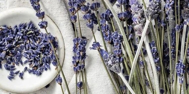 ania OnlyFans | @ania_a review (Leaks, Videos, Nudes)