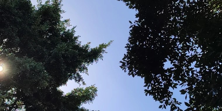 Asuna Yuuki OnlyFans | @asuna_yuumy review (Leaks, Videos, Nudes)