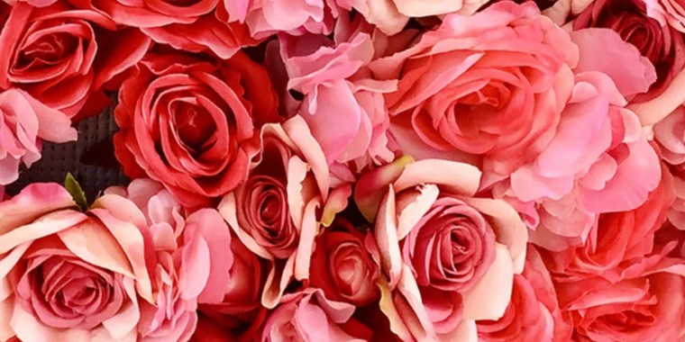 Athena Rose OnlyFans | @athena_rosee review (Leaks, Videos, Nudes)