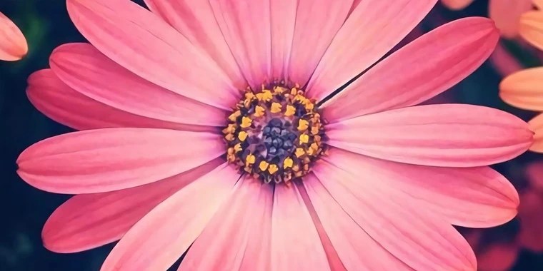 Austin Taylor OnlyFans | @austitaylor review (Leaks, Videos, Nudes)