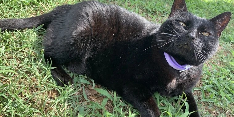 Autumn OnlyFans | @autumnhenry review (Leaks, Videos, Nudes)