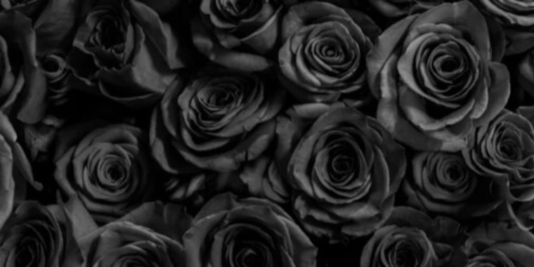 Ava OnlyFans | @ava_black_rose review (Leaks, Videos, Nudes)