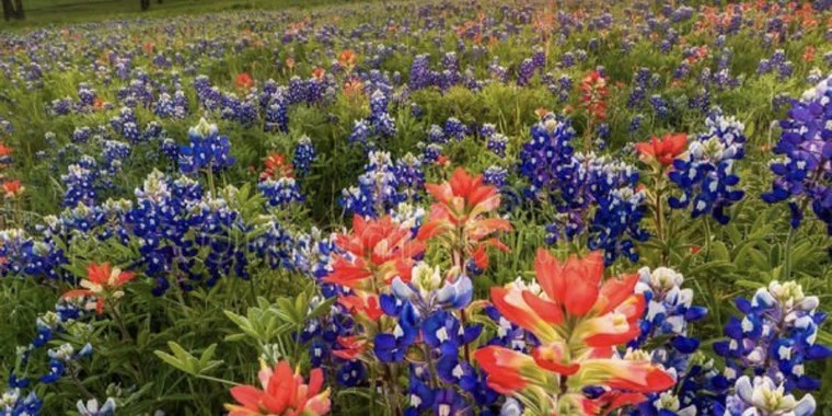 Average Soccer Mom OnlyFans | @averagesoccermom review (Leaks, Videos, Nudes)