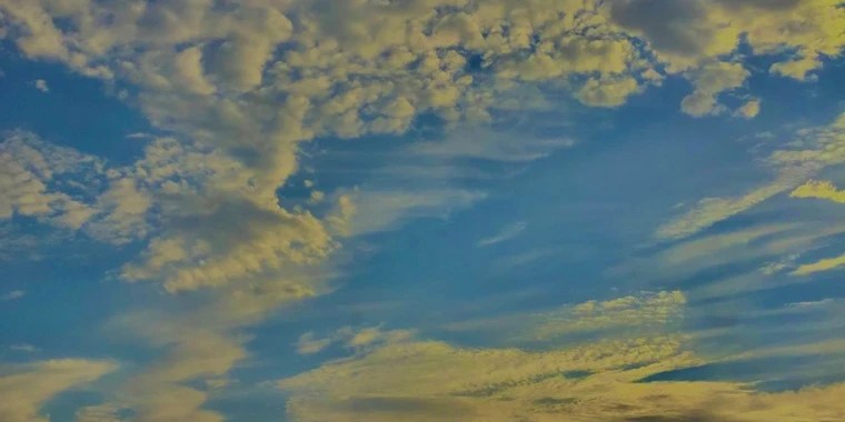 Yamileth OnlyFans | @baby.yami review (Leaks, Videos, Nudes)