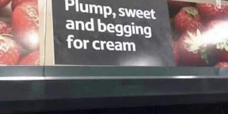 Yogi The Bear OnlyFans | @basically_yogi review (Leaks, Videos, Nudes)