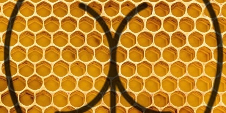 BEHIND THE SCENES OnlyFans | @behindhoneyberry review (Leaks, Videos