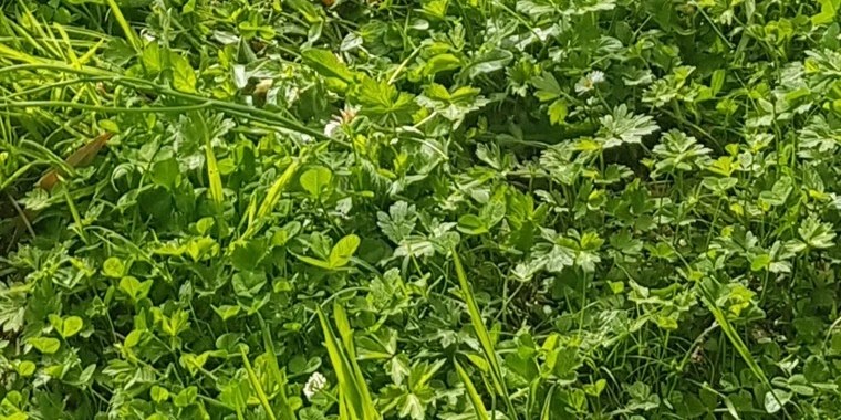 Busty Besties OnlyFans | @best.busty.babes review (Leaks, Videos, Nudes)