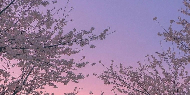 Cherry blossom OnlyFans | @blossom_cherry review (Leaks, Videos, Nudes)