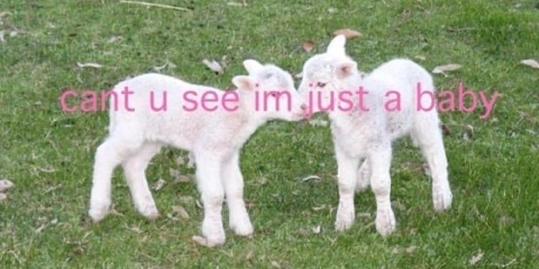 s OnlyFans | @boyeaterrr review (Leaks, Videos, Nudes)