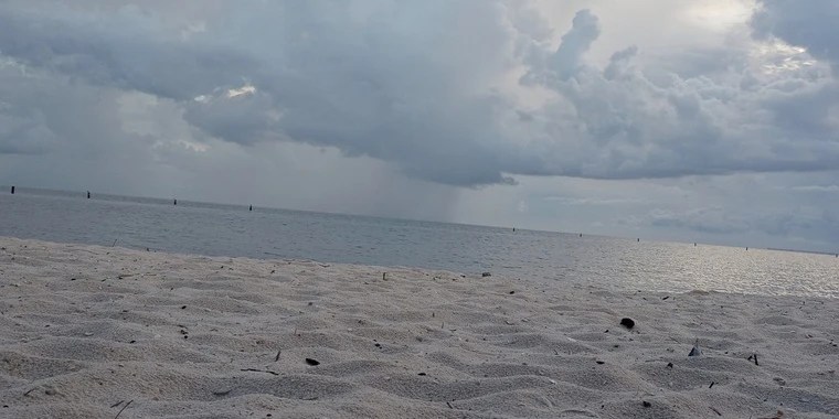 SolidSnake OnlyFans | @bruisebanana review (Leaks, Videos, Nudes)