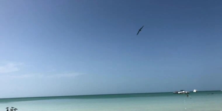 Camicami OnlyFans | @camcamimx review (Leaks, Videos, Nudes)