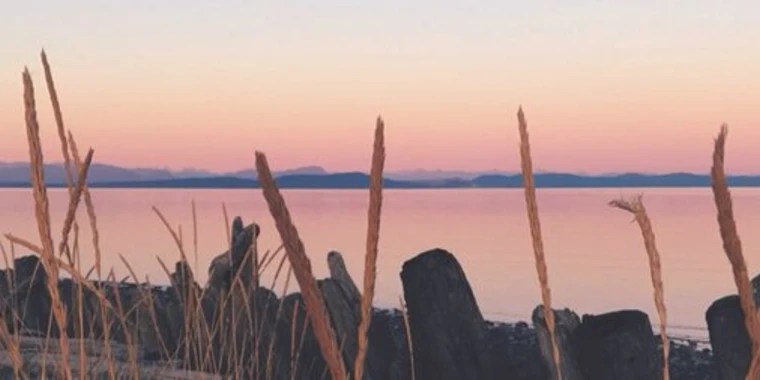 Ativan Halen OnlyFans | @carolinasong review (Leaks, Videos, Nudes)