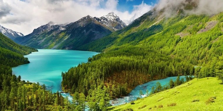 cataleya OnlyFans | @cataleya.01 review (Leaks, Videos, Nudes)