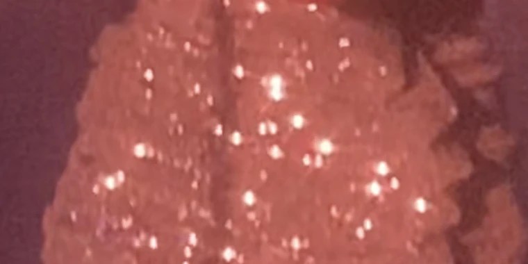 Queen/Daddy Kleopatra/Cesar OnlyFans | @daddy_kleo review (Leaks