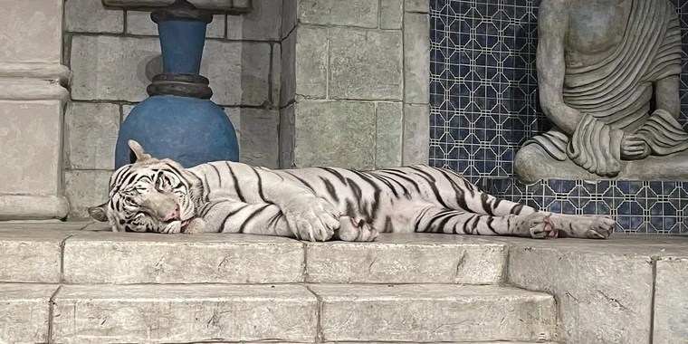 Dani OnlyFans | @danithebaddiee review (Leaks, Videos, Nudes)