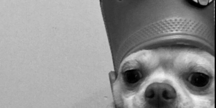 Darcy OnlyFans | @darcyjay review (Leaks, Videos, Nudes)