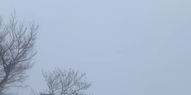 eli jang OnlyFans | @elijang review (Leaks, Videos, Nudes)