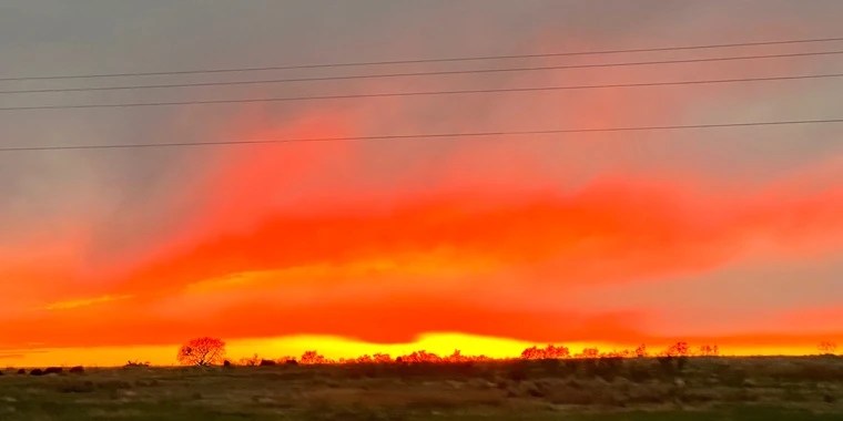 Emily Ann OnlyFans | @emilyannh review (Leaks, Videos, Nudes)