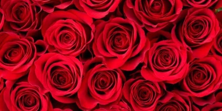 Emma Rose OnlyFans | @emmarosevip review (Leaks, Videos, Nudes)