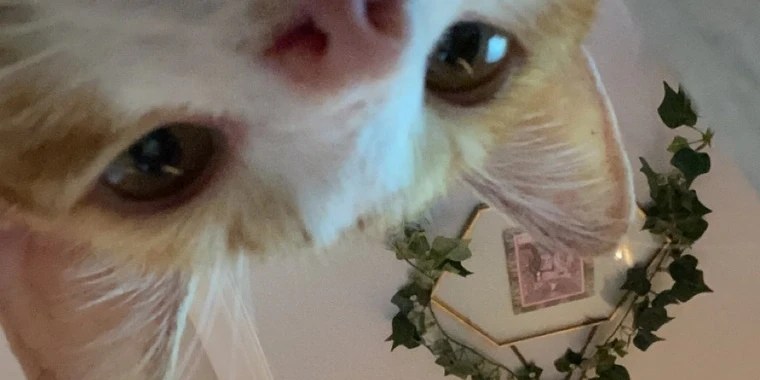 Nami OnlyFans | @evaalear review (Leaks, Videos, Nudes)