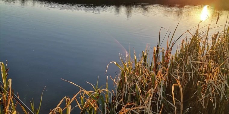 DANNY OnlyFans | @feetlovecouple review (Leaks, Videos, Nudes)