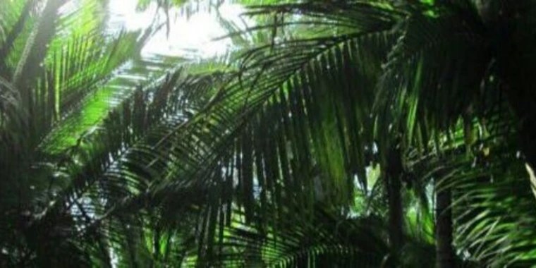 Fetish Fantasies OnlyFans | @fetishfantasies review (Leaks, Videos, Nudes)