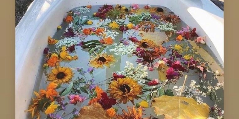 Damiana OnlyFans | @findyourfulfillment review (Leaks, Videos, Nudes)