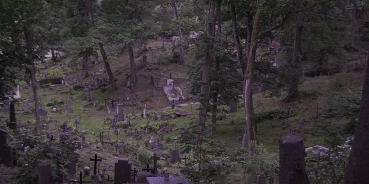 finn OnlyFans | @goblinfinn review (Leaks, Videos, Nudes)