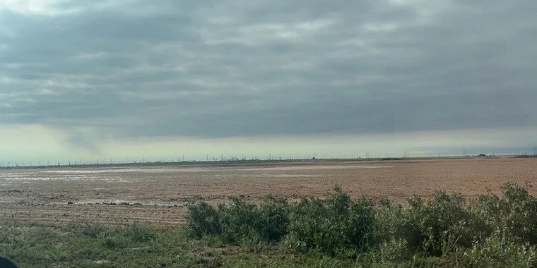 Grace humble OnlyFans | @grace_h review (Leaks, Videos, Nudes)