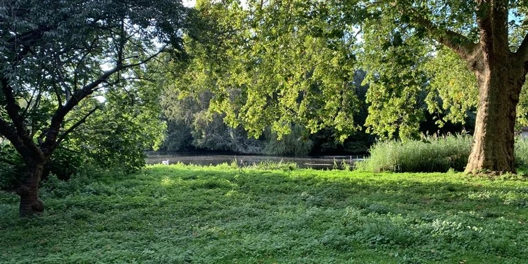 Griffin Barrows OnlyFans | @griffinbarrows review (Leaks, Videos, Nudes)