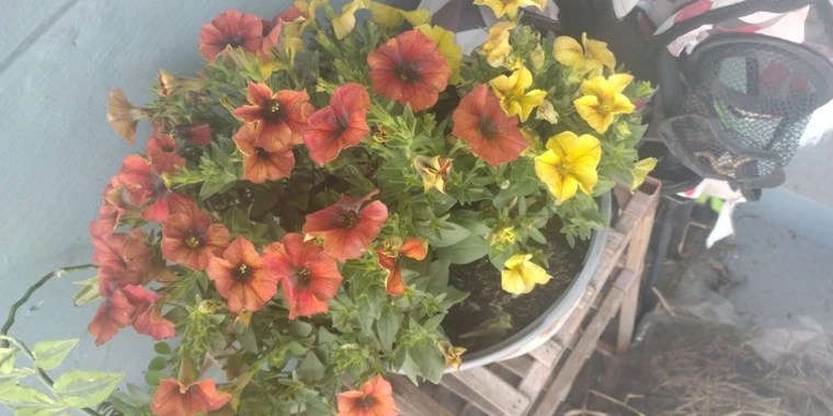 Grim OnlyFans | @grim_thotts review (Leaks, Videos, Nudes)