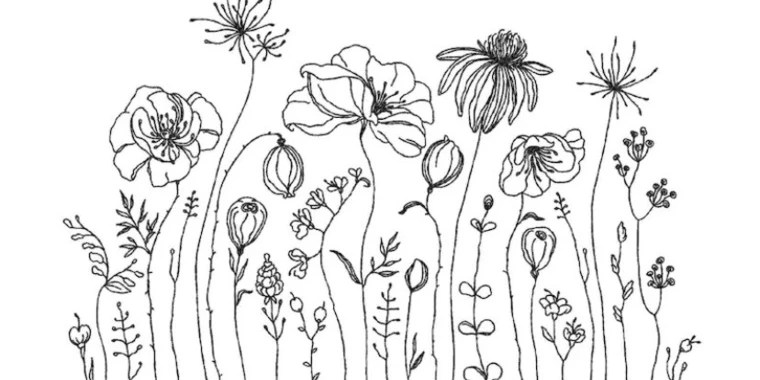 Hales OnlyFans | @hales.r review (Leaks, Videos, Nudes)