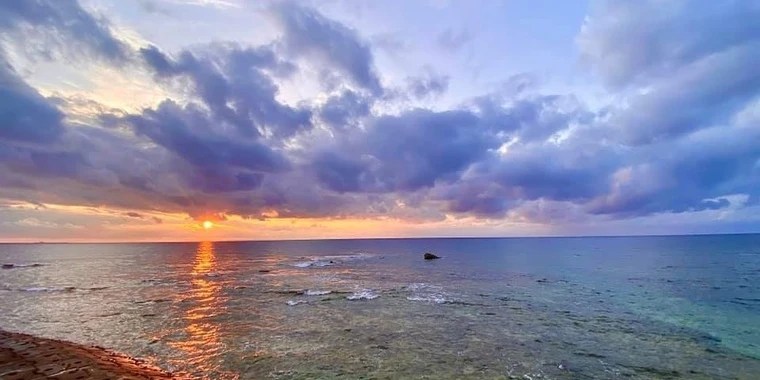 Hali D OnlyFans | @hali-daze review (Leaks, Videos, Nudes)